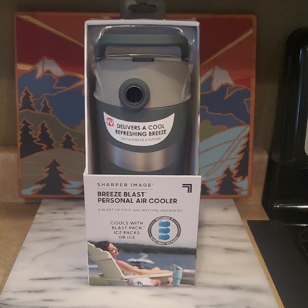 Sharper Image Gray Breeze Blast Air Cooler